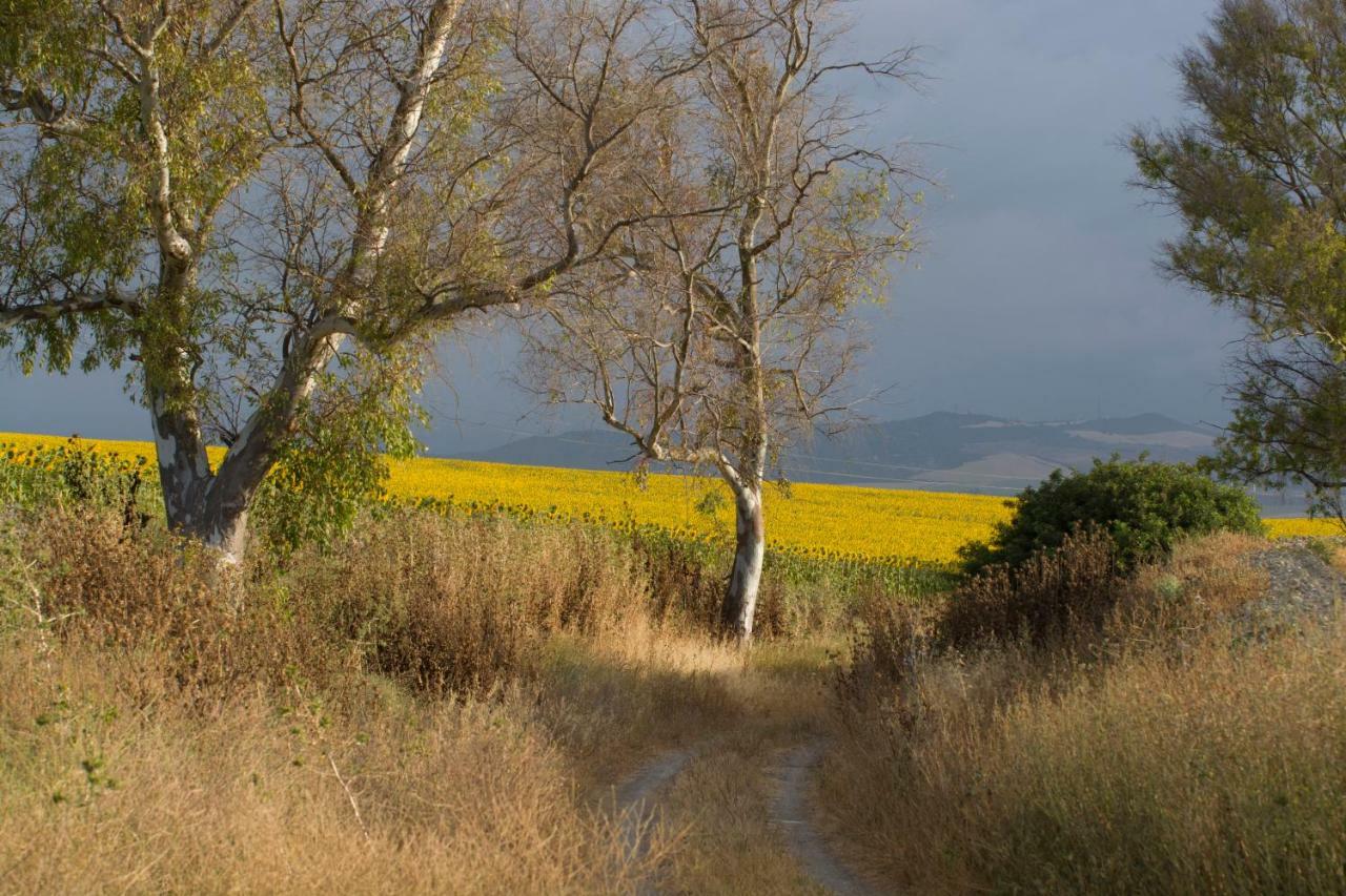 Pension Montero Jedula Exteriér fotografie